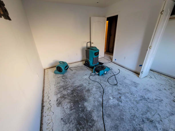 Best Water damage contractors near me  in Pimmit Hills, VA