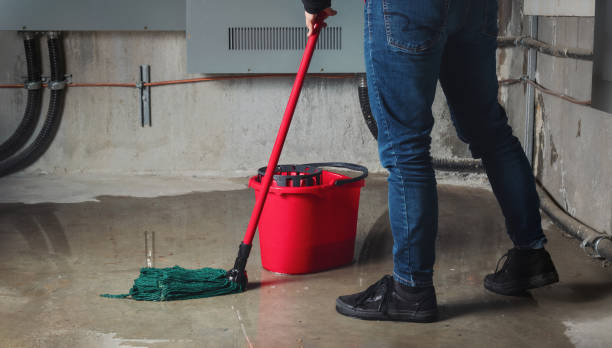 Carpet water damage restoration in Pimmit Hills, VA