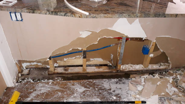 Best Flood damage cleanup  in Pimmit Hills, VA