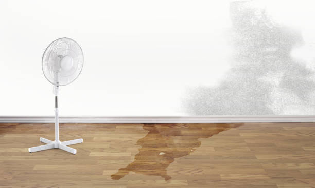 Trusted Pimmit Hills, VA Water damage restoration Experts