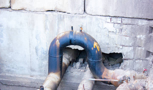 Best Carpet water damage restoration  in Pimmit Hills, VA