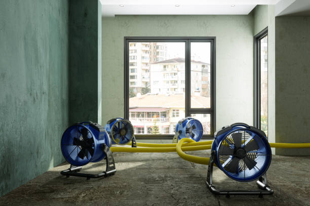 Best Water damage restoration near me  in Pimmit Hills, VA